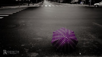 Violet Umbrella，Blue Day