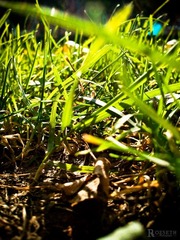 ulIMG_20111111_132354.jpg