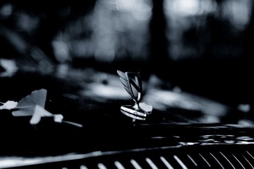 ulDSC_2000.jpg