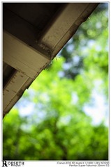 ulfr_IMG_8238.jpg