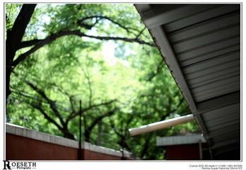 ulfr_IMG_8245.jpg