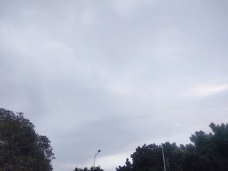 1000081842