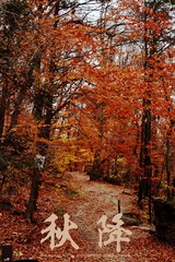 IMG_8060_1