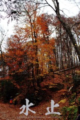IMG_8057_1