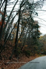 IMG_8040_1
