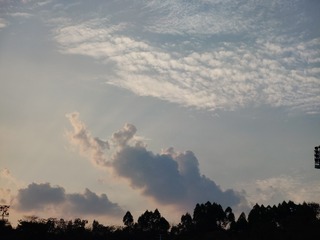 1000003227