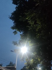 1000015273