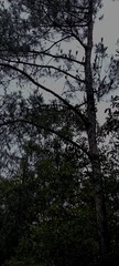 1000120658