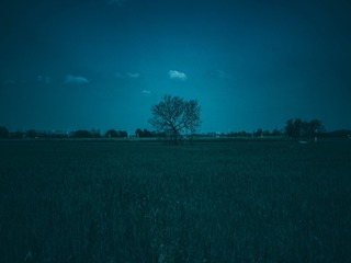 1000678191