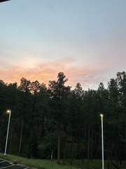 IMG_4029