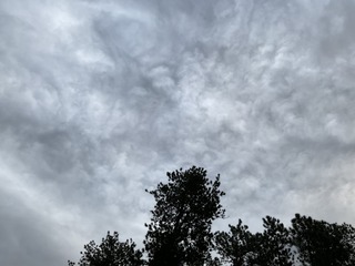 IMG_4020