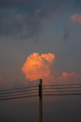 1000042652
