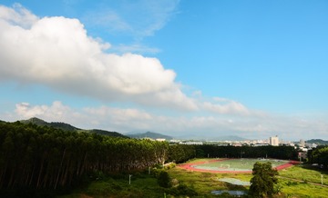 1000034824