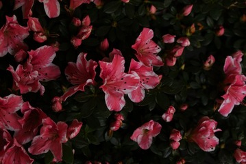 653