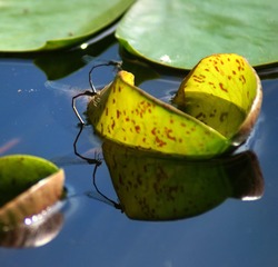 20126