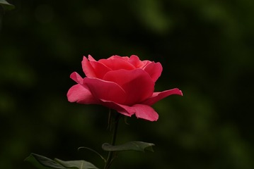 8813