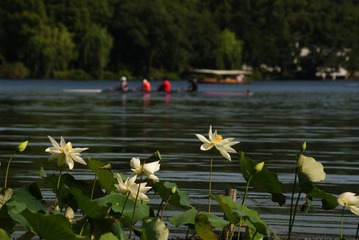 19054