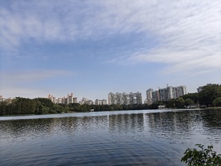1000017622