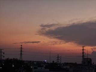 1000022230