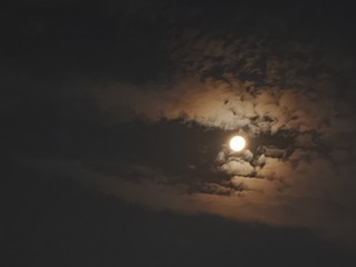 1000022151