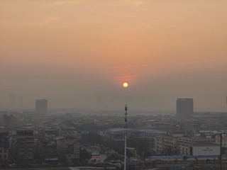 1000016652