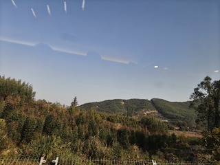1000021034