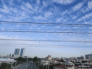 1000016324