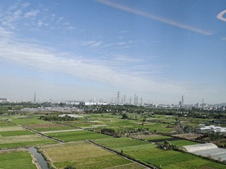 1000016494