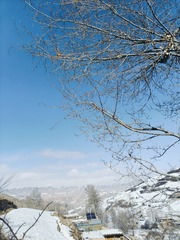 1000016464