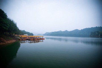 DSC_0033.jpg