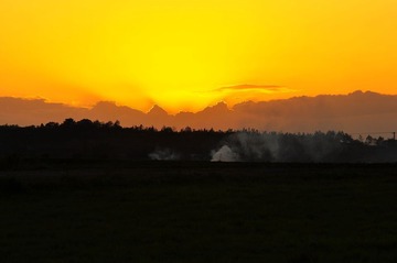 DSC_0493_