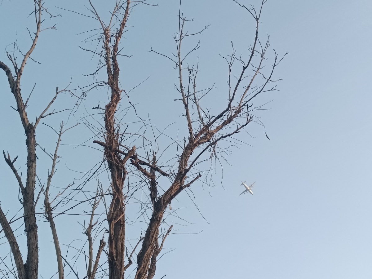 无边落木萧萧下