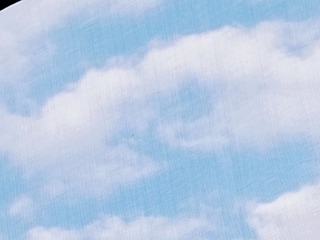 1000040024