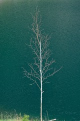 1000041618