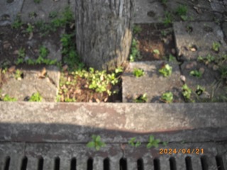 IMGP4724