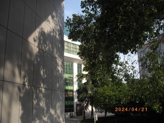 IMGP4733