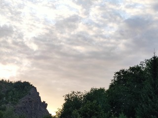 1000028520