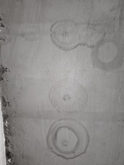 1000077804