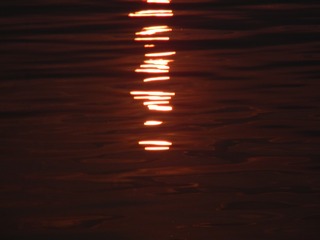 1000020129