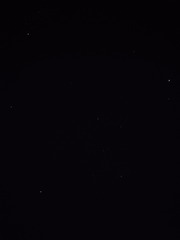 1000062595