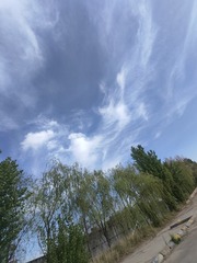 1000004525