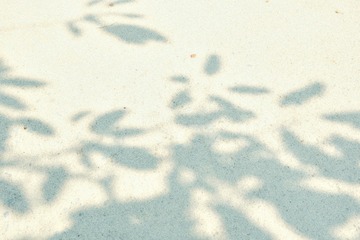 DSCF4481 1