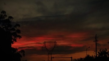2014532