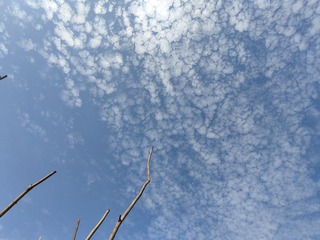 1000005413