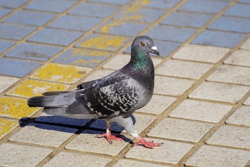 54564