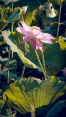 001