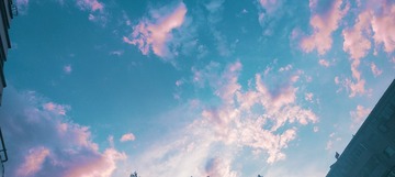 1000051327