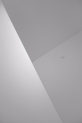 1000114494