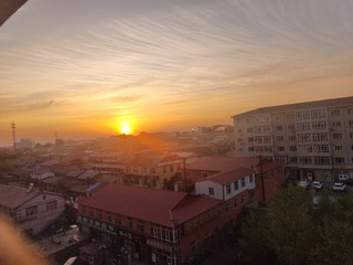 1000036781