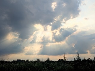 1000027682